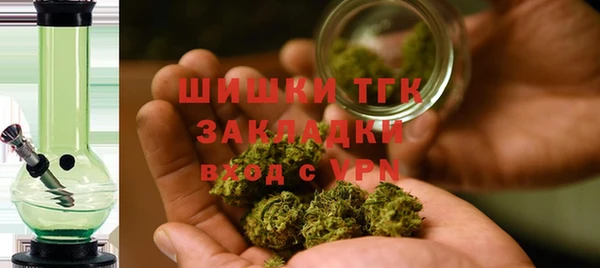гидропоника Белокуриха
