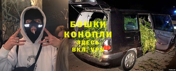 гидропоника Белокуриха