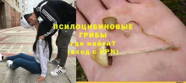 a pvp Богородицк