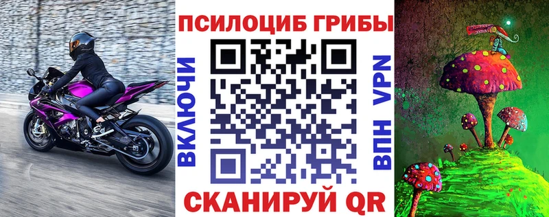 Галлюциногенные грибы Psilocybine cubensis  Купить  Кимовск 